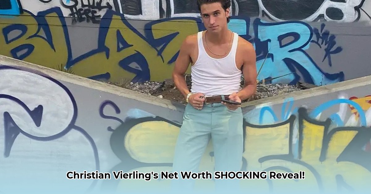 christian-vierling-net-worth